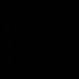 Meet your Posher, Hugo